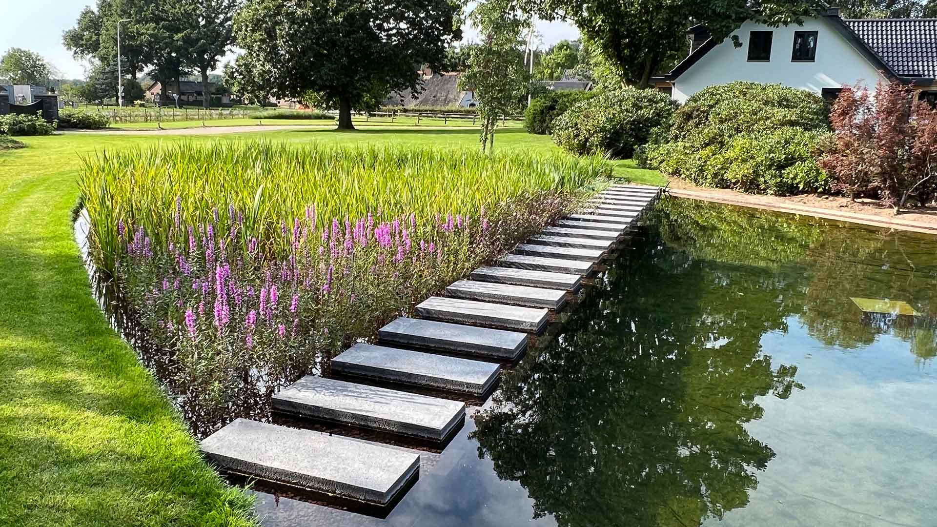 Zakelijk bestellen bij Vijverkenner